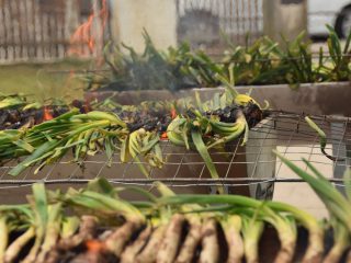 ENTRADES EXHAURIDES per La Calçotada 2024