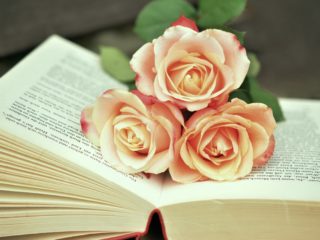 23 abril: contacontes de Sant Jordi, 16.30h via Zoom